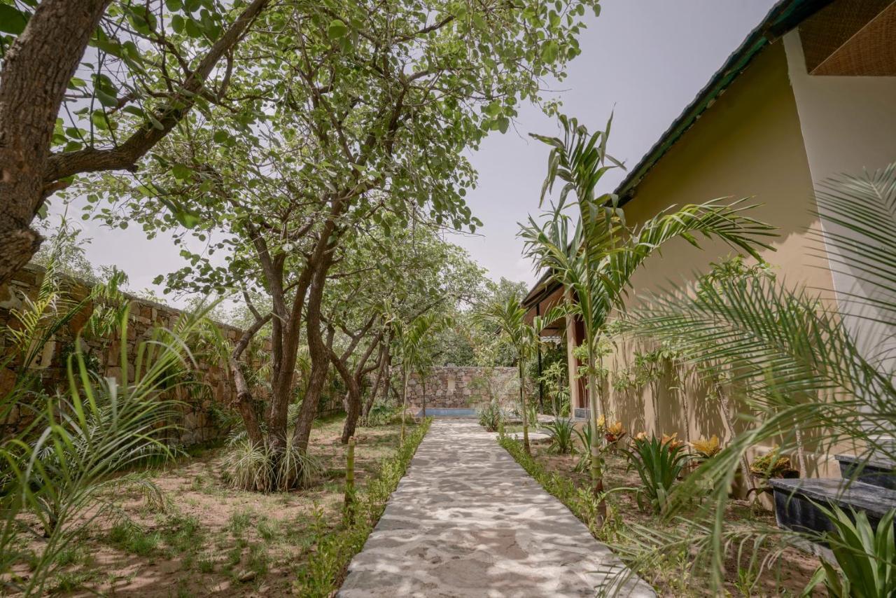 פושקאר Nature Village Resort מראה חיצוני תמונה