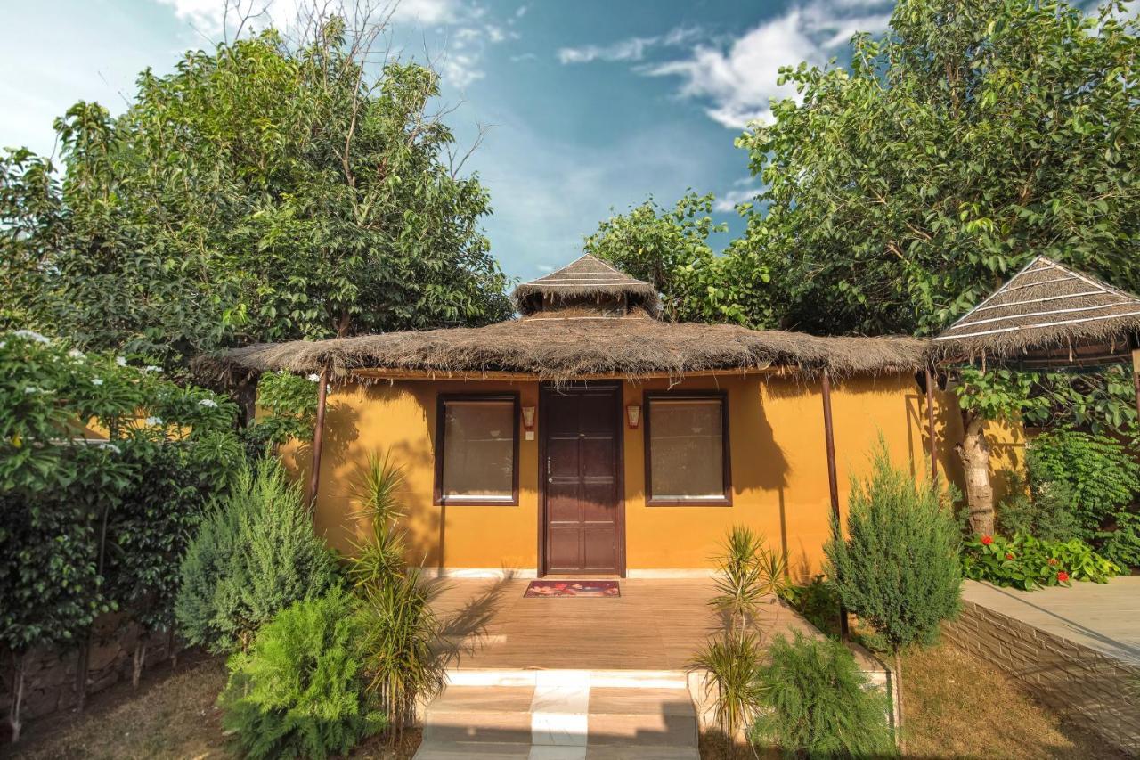 פושקאר Nature Village Resort מראה חיצוני תמונה