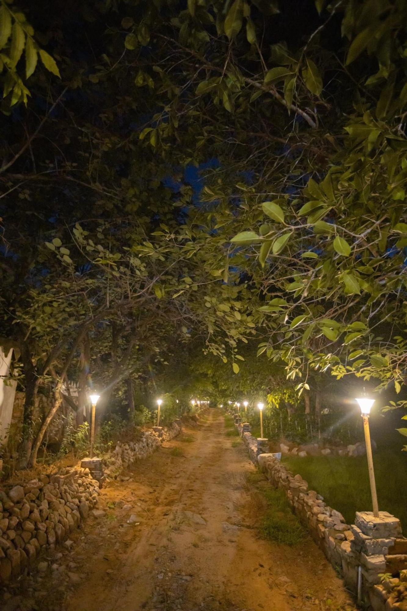 פושקאר Nature Village Resort מראה חיצוני תמונה