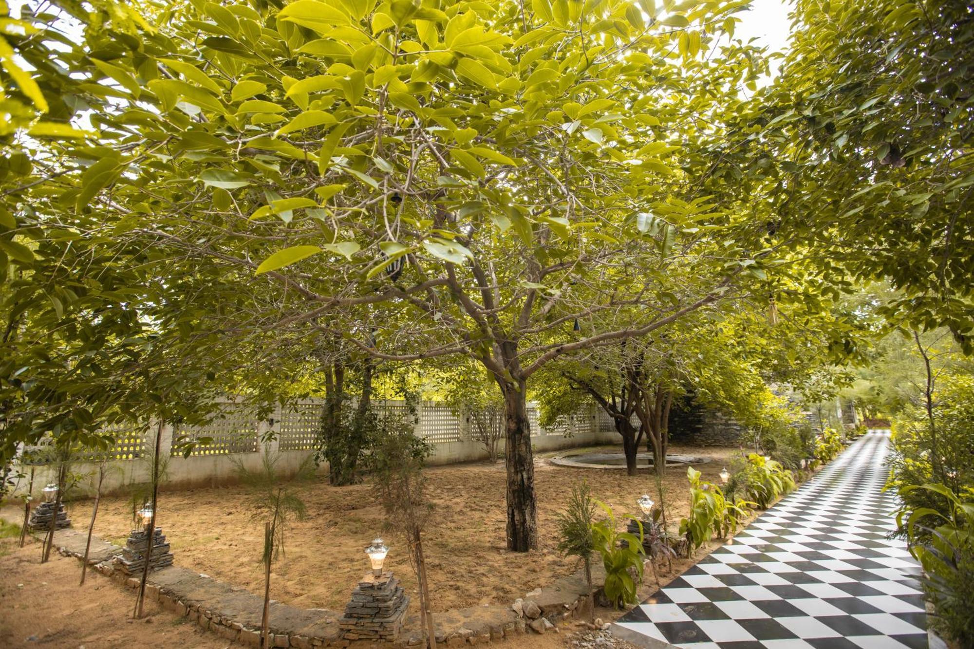 פושקאר Nature Village Resort מראה חיצוני תמונה